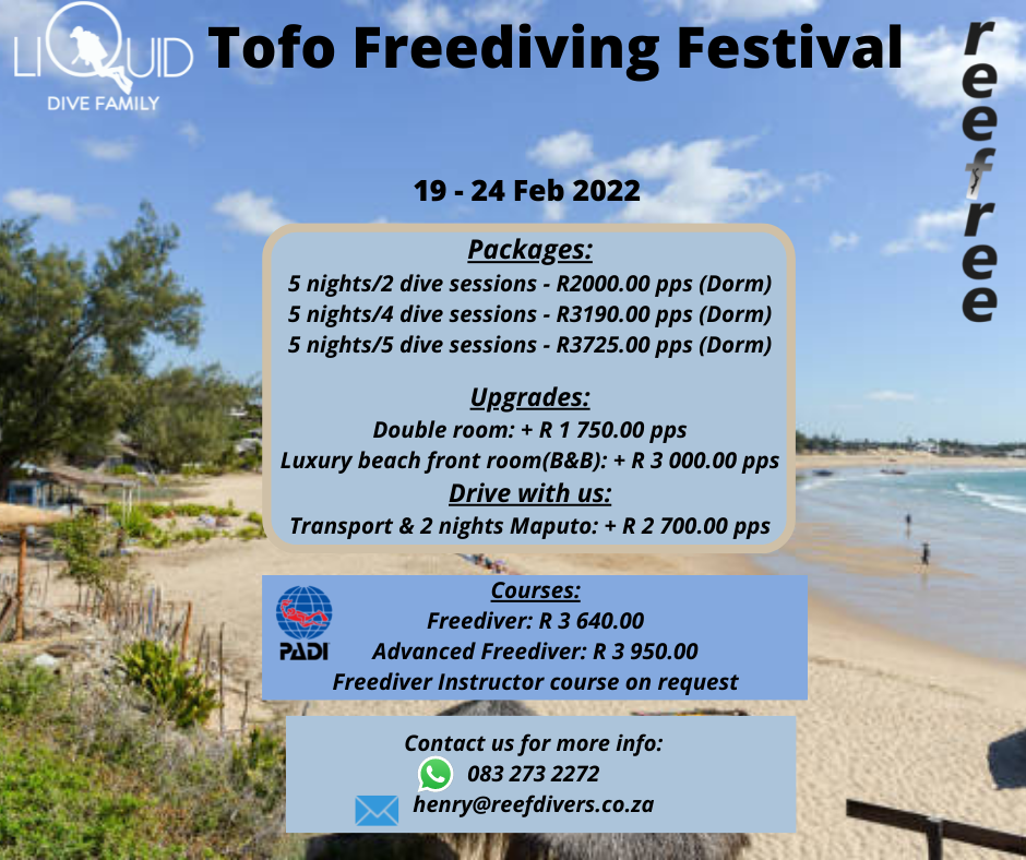 tofo freediving festival