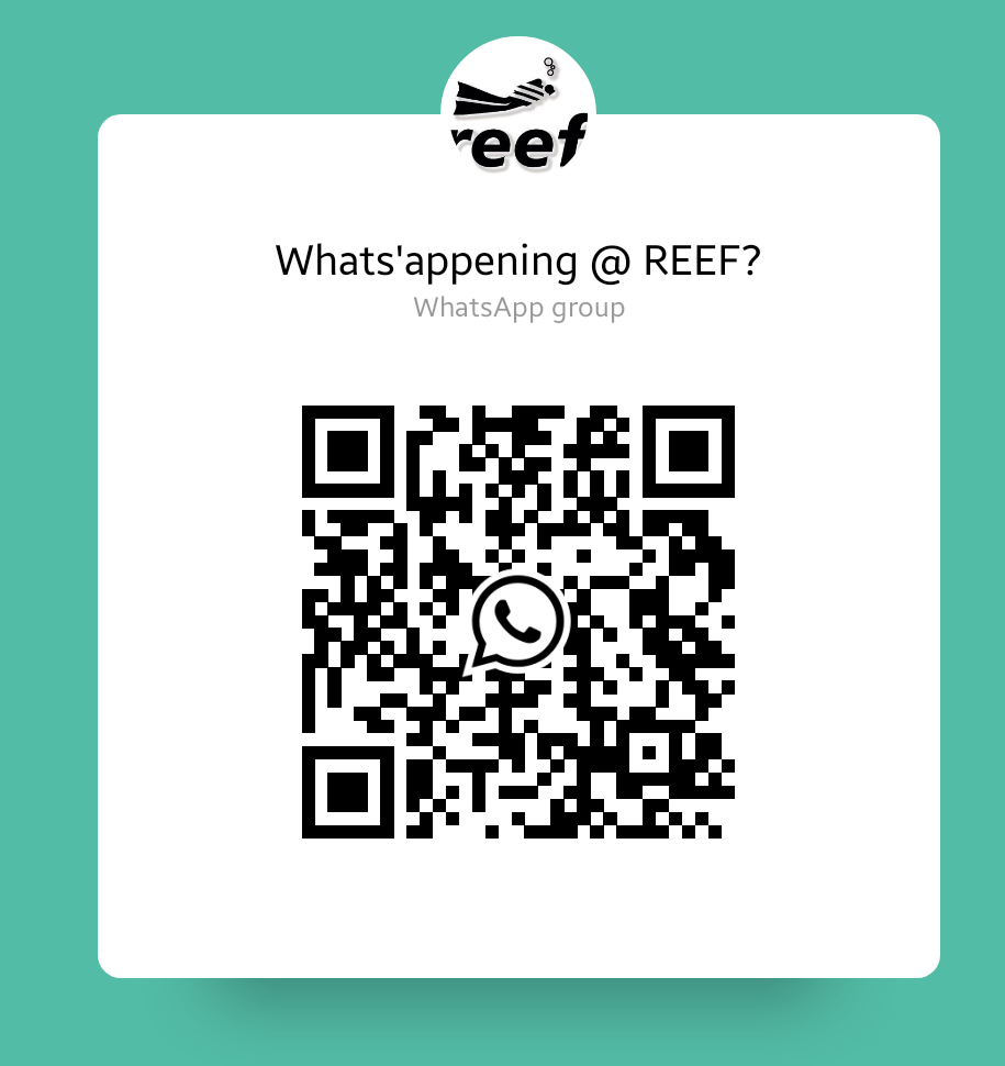 Reef Divers QR code